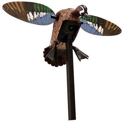 Mojo Decoys Elite Series Blue Wing Teal Duck Md: HW2475