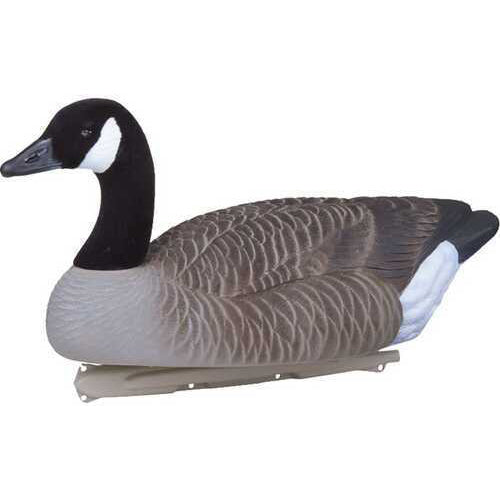 Flambeau Water Pack Canada Goose 6 pk. Model: 8091SHU