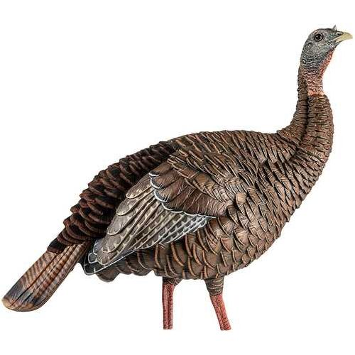 Avian-x Hdr Hen Decoy