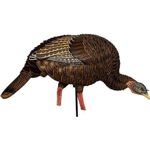 Avian-X HDR Feeding Hen Decoy