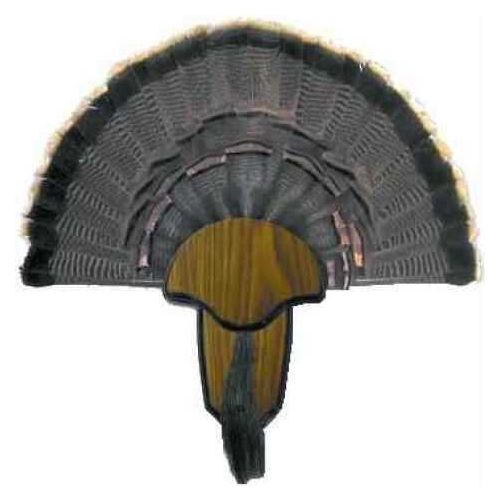 Hunters Specialties Turkey Tail & Beard Mounting Kit 00849