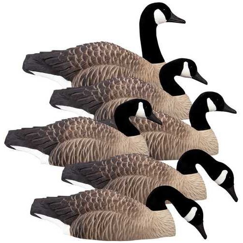 Higdon Outdoors Magnum Half Shell Canada 6Pk