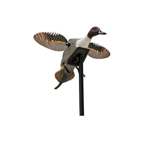 Mojo Decoys Elite Series Pintail Duck