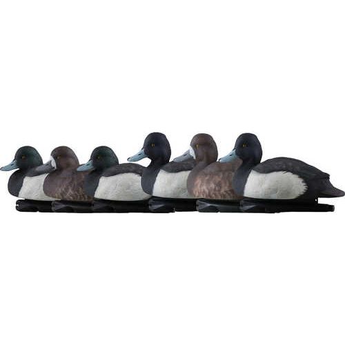 AvianX Top Flight Duck Decoys Blue Bills 6 pk.