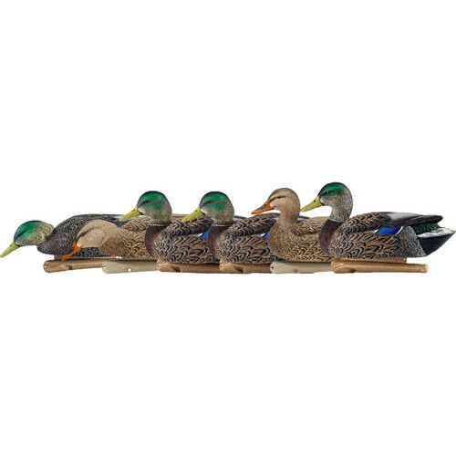 AvianX Top Flight Duck Decoys Early Season Mallards 6 pk.