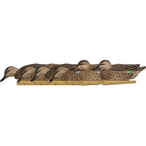 AvianX Top Flight Duck Decoys Early Season Teal 6 pk.