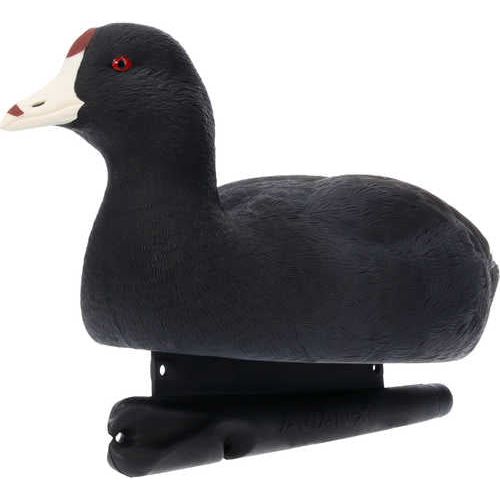 Avian X Topflight Floating Decoy Coot Model: AVX-COOT