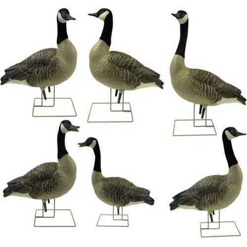 Avian X AXP Goose Decoys Fusion Honker 6 pk. Model: 9006