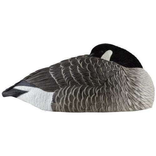 Avian X Canada Sleeper Shells 6 pk. Model: 9011