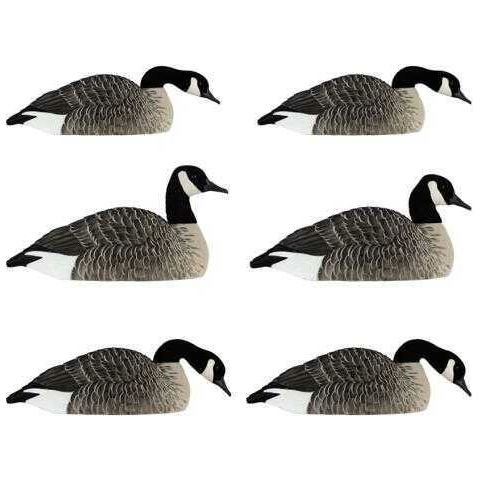 Avian X Honker Shell Decoys 6 pk. Model: 9010