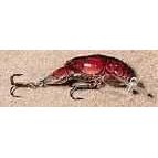 Rebel Big Craw 2 5/8" Ditch Brown