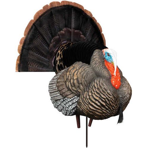 Higdon Outdoors 63148 Hard Body Apex Strutter Turkey Tom Species Multi Color