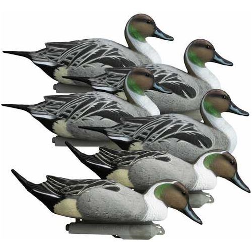 Higdon Outdoors 16544 Battleship Pintail Species Multi Color Foam Filled 6 Pack