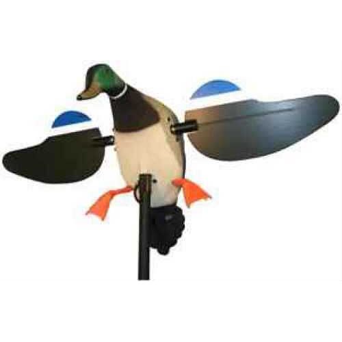 Mojo Decoys Mallard Drake Only HW2107