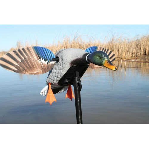 Mojo Elite Series Mini Mallard Drake Decoy