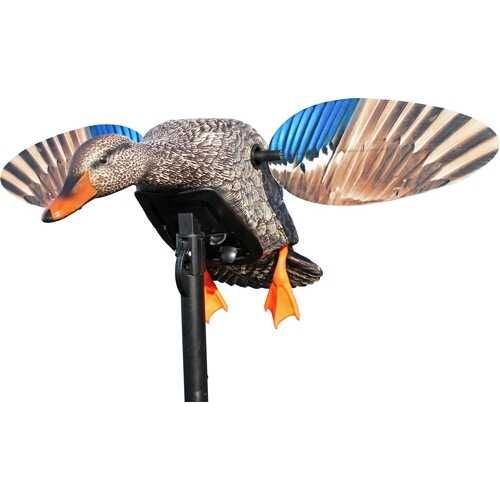 Mojo Elite Series Mini Mallard Hen Decoy