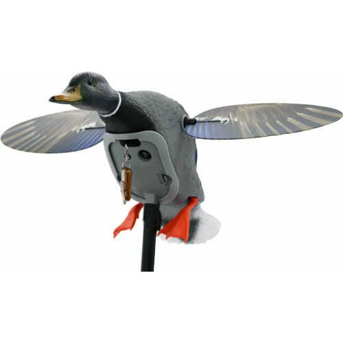 MOJO King Mallard Drake Decoy